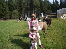 © 2025 Langwieserhof