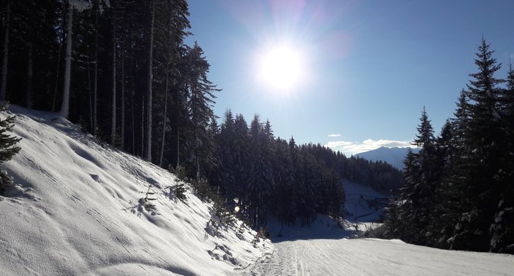 © 2025 Langwieserhof