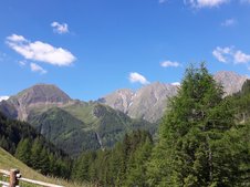© 2025 Langwieserhof
