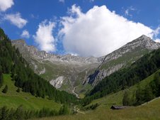© 2025 Langwieserhof