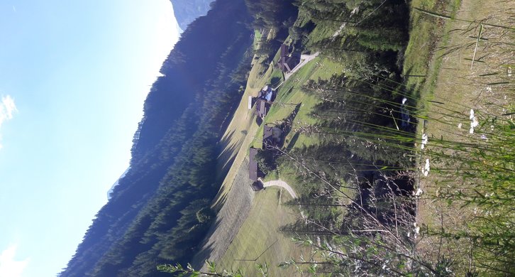 © 2025 Langwieserhof