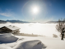 © 2025 Langwieserhof