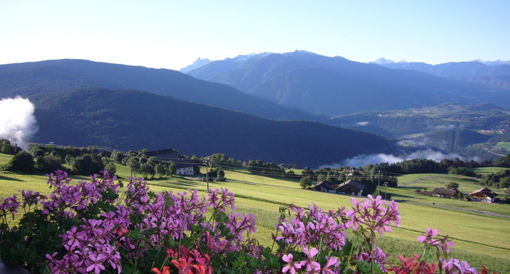 © 2025 Langwieserhof