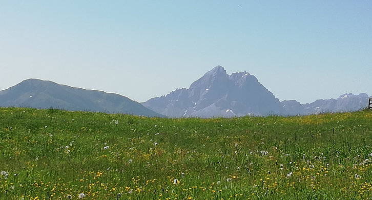 © 2025 Langwieserhof