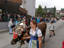 © 2025 Langwieserhof