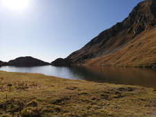 © 2025 Langwieserhof