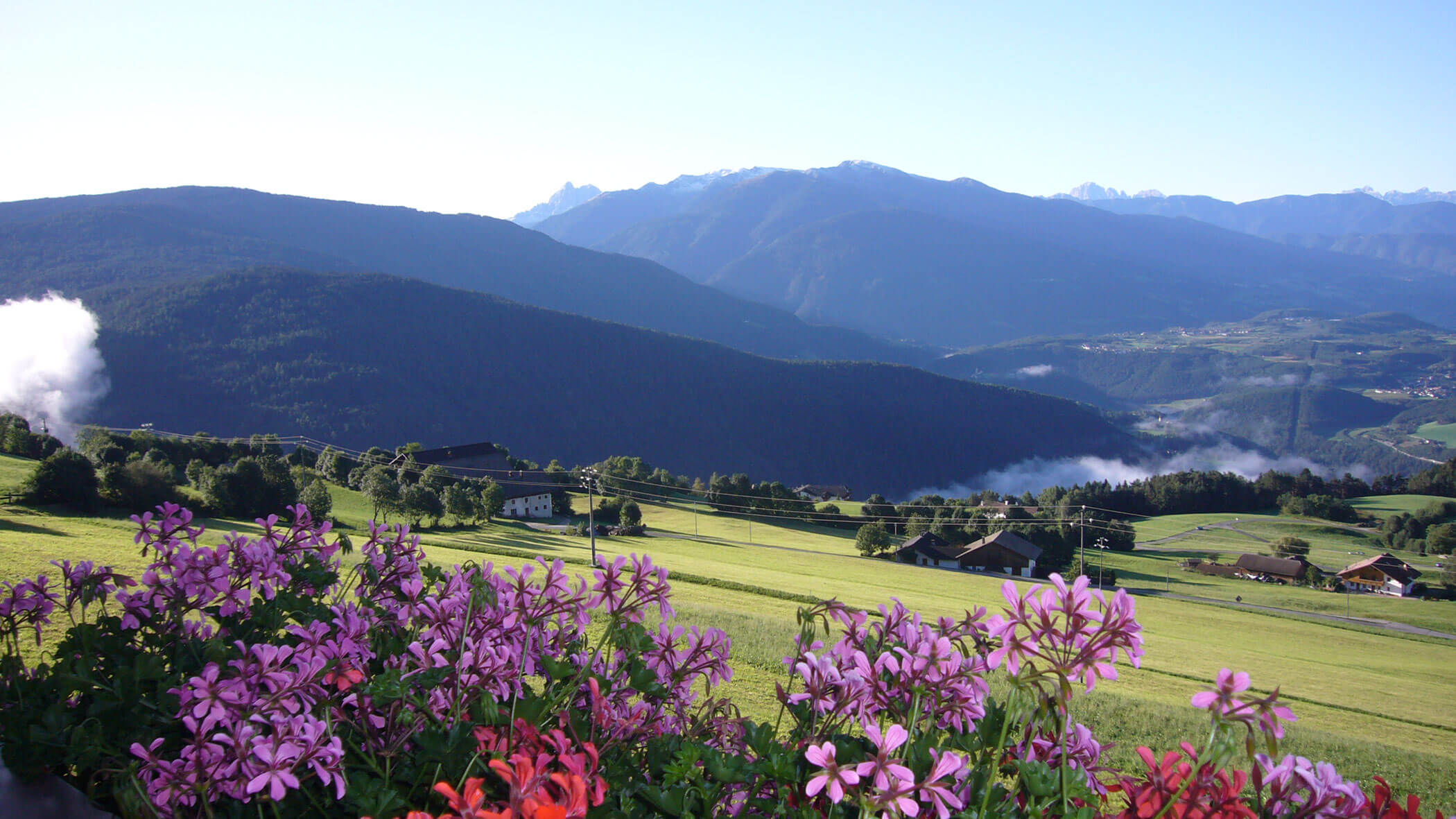 Balkonblumen und dahinter die Felder und Häuser in Meransen